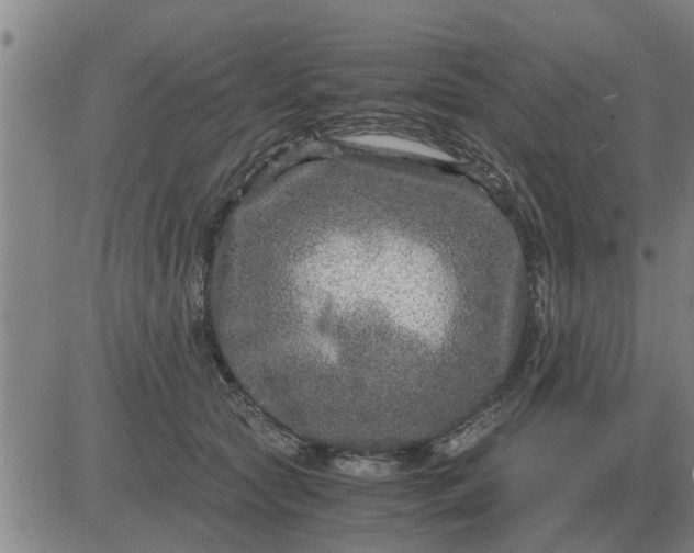 X0000084030561200703022125