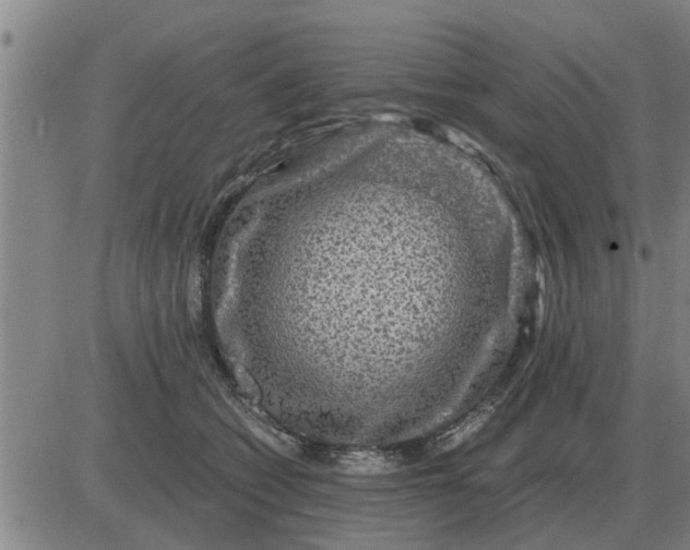 X0000084030562200703022125