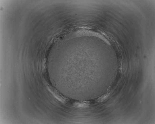 X0000084030563200703022125