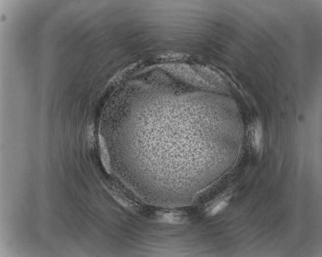 X0000084030564200703022125