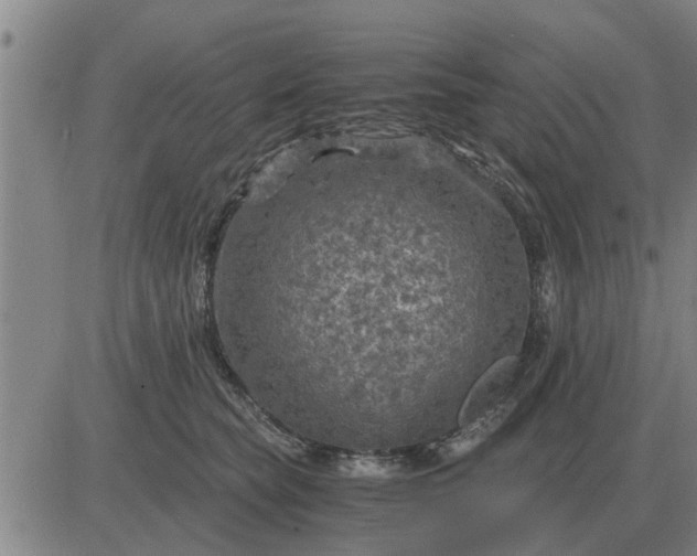 X0000084030565200703022125