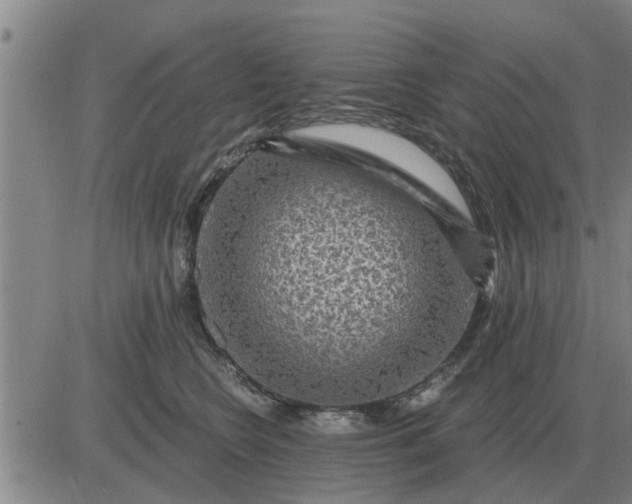 X0000084030566200703022125