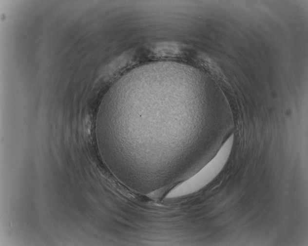 X0000084030567200703022126