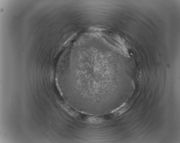 X0000084030568200703022126