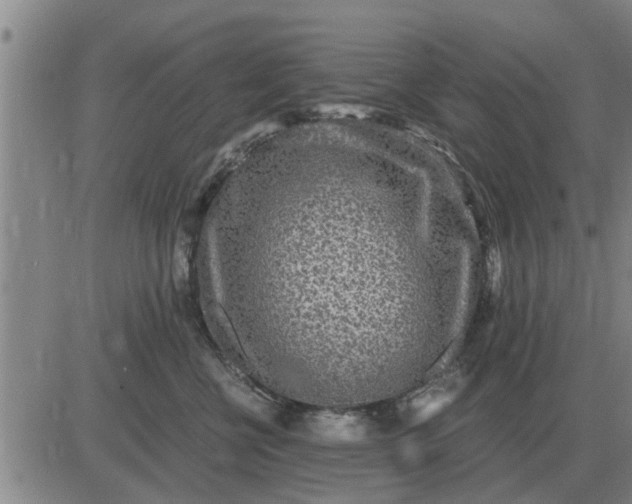 X0000084030570200703022126