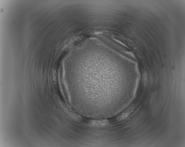 X0000084030571200703022126