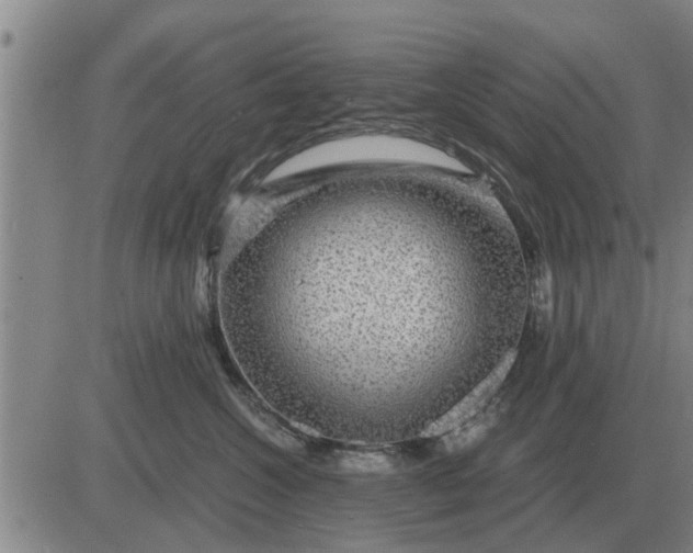 X0000084030572200703022126