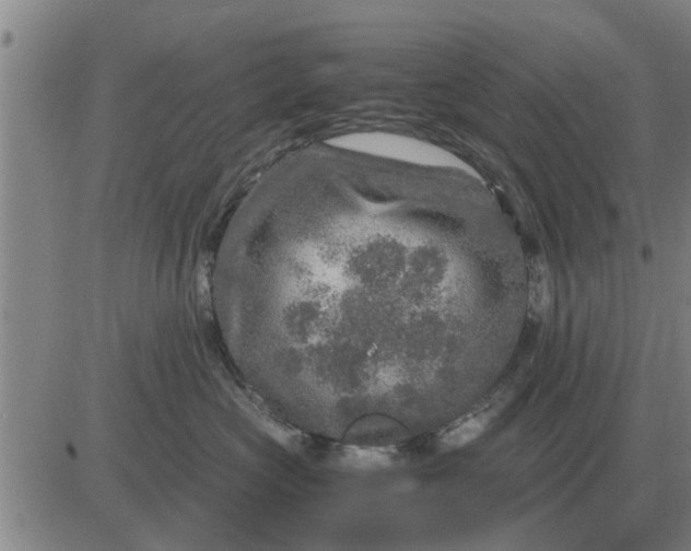 X0000084030573200703022126