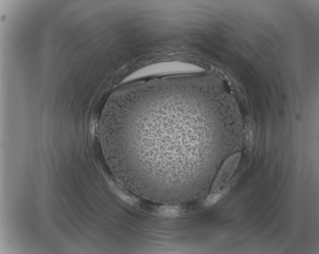 X0000084030574200703022126