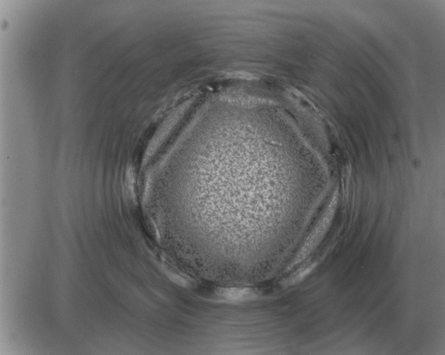 X0000084030575200703022126