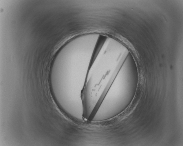 X0000084030577200703022125