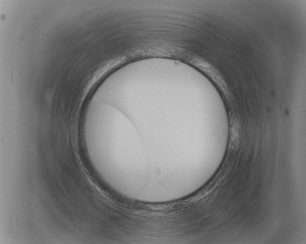 X0000084030578200703022125