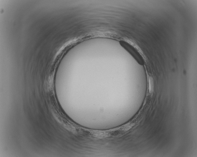 X0000084030579200703022125