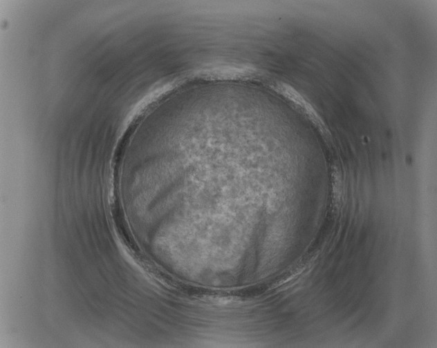 X0000084030582200703022125