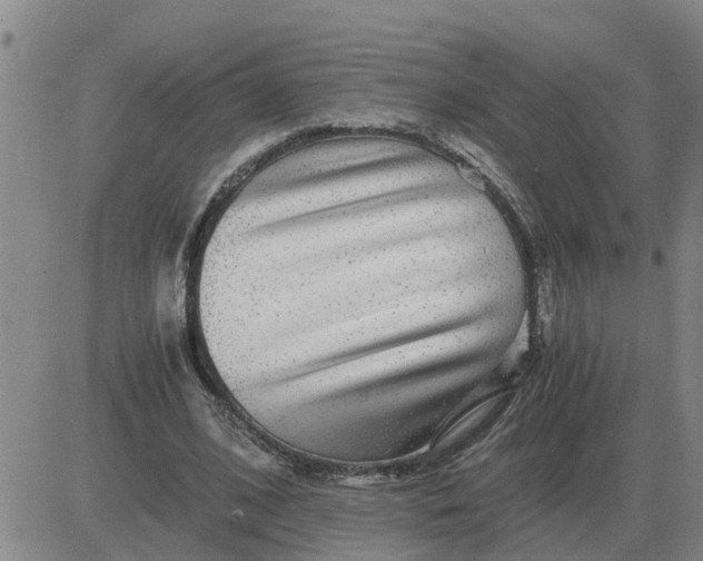 X0000084030584200703022125