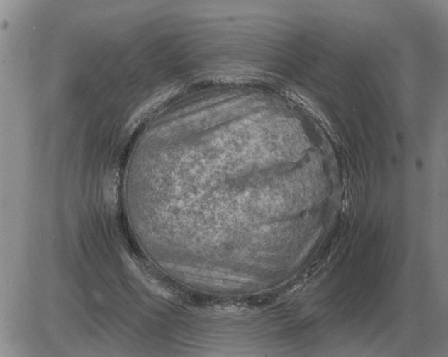 X0000084030586200703022125