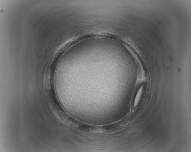 X0000084030587200703022125