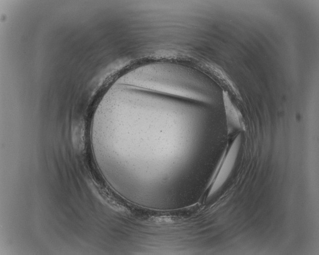 X0000084030588200703022125