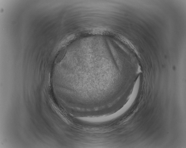 X0000084030589200703022125