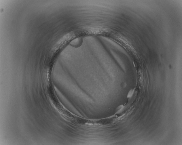 X0000084030590200703022125