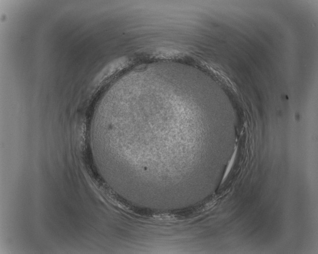 X0000084030591200703022125