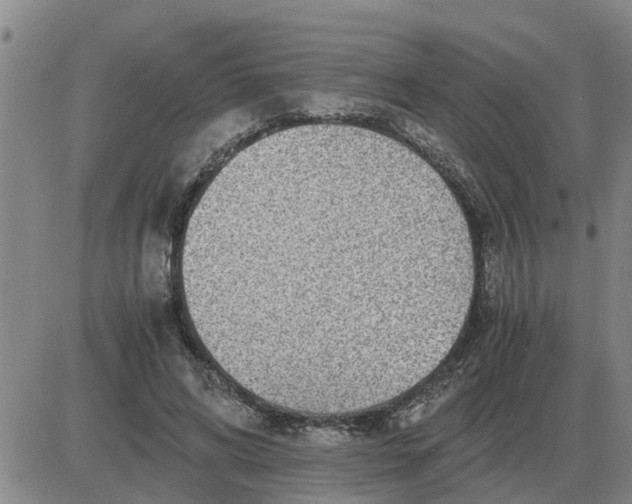 X0000084030592200703022125