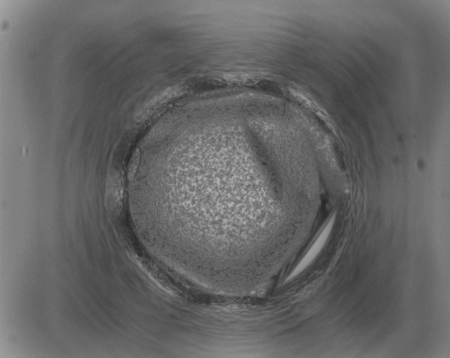 X0000084030593200703022125