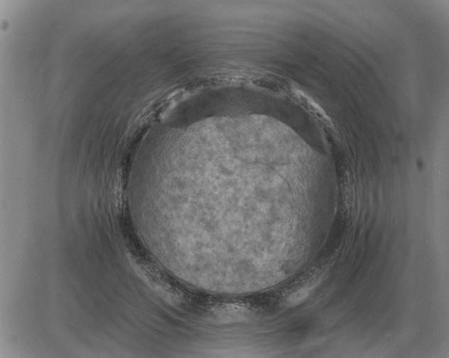 X0000084030594200703022125