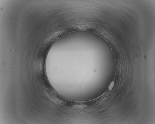 X0000084030595200703022125