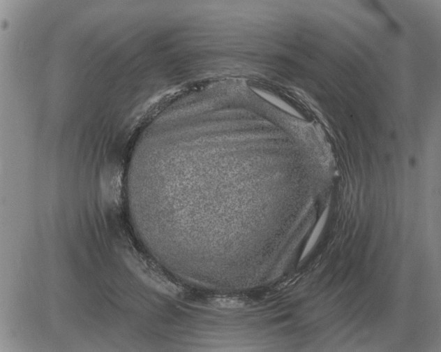 X0000084030596200703022125