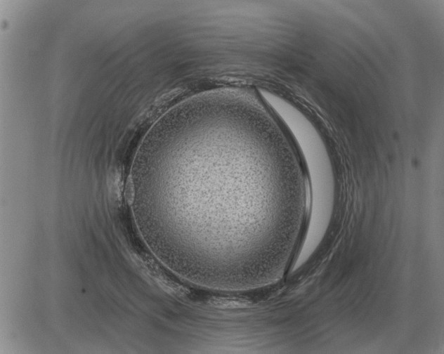 X0000084030597200703022125