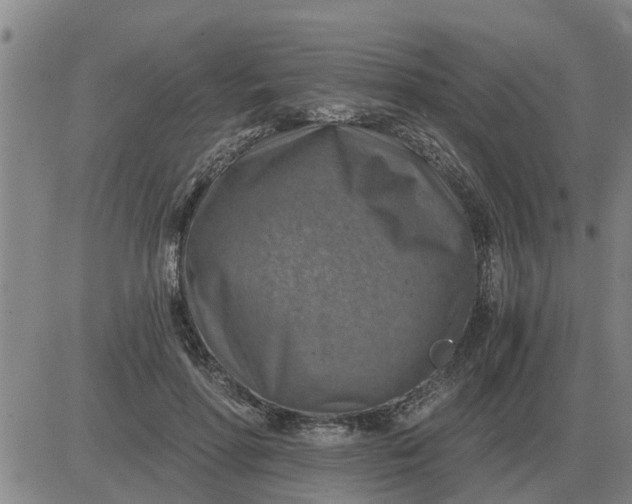 X0000084030598200703022125