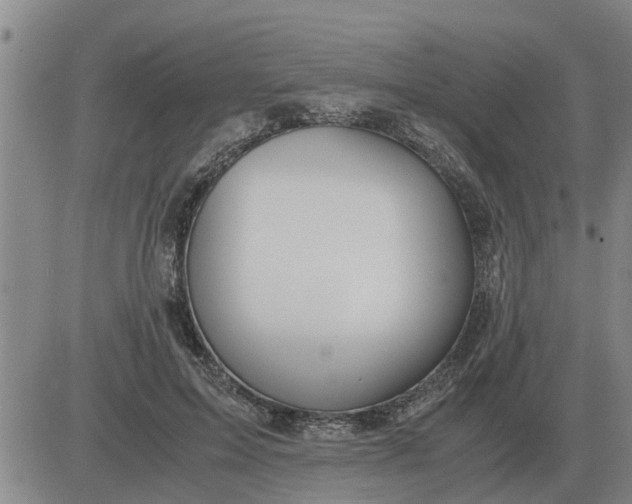 X0000084030599200703022124