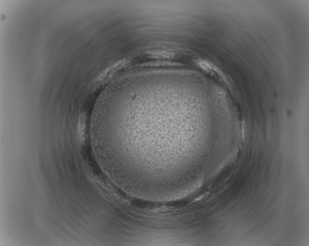 X0000084030600200703022124