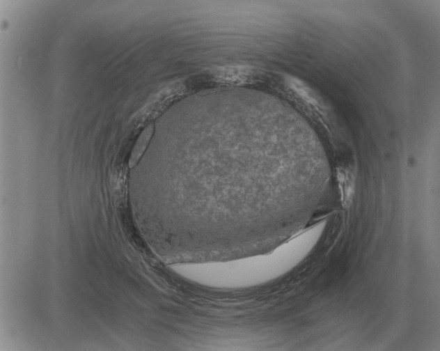 X0000084030601200703022124