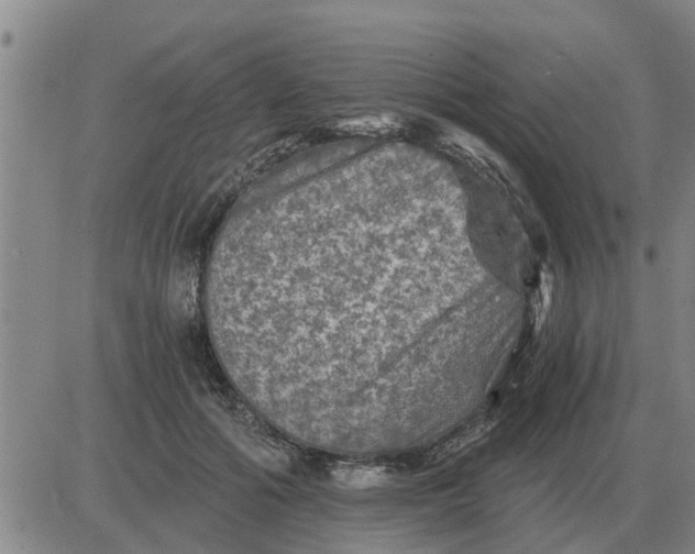 X0000084030602200703022124