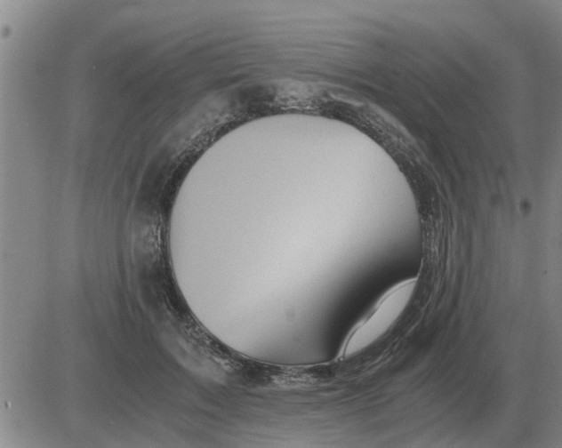 X0000084030603200703022124