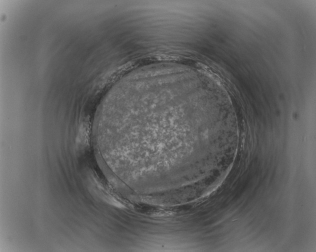 X0000084030604200703022124