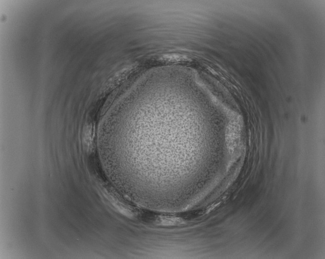 X0000084030605200703022124