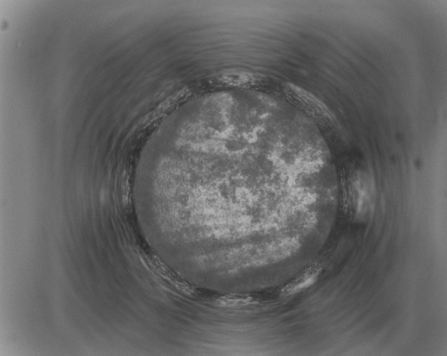 X0000084030606200703022124