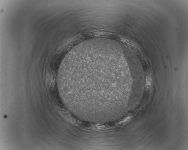 X0000084030607200703022124