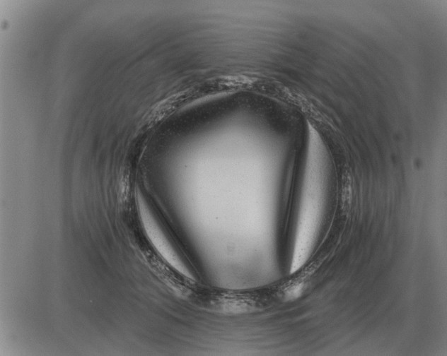 X0000084030608200703022124