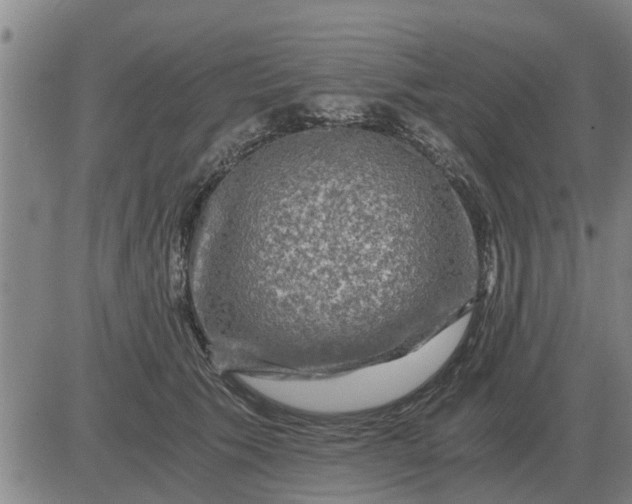 X0000084030609200703022124