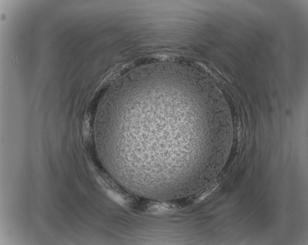 X0000084030611200703022124