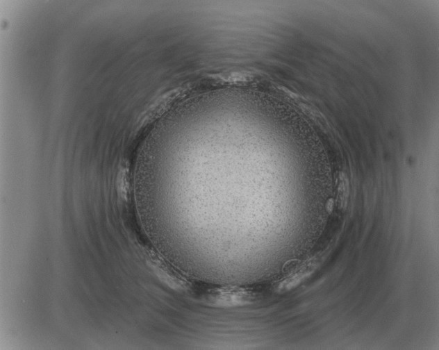 X0000084030612200703022124