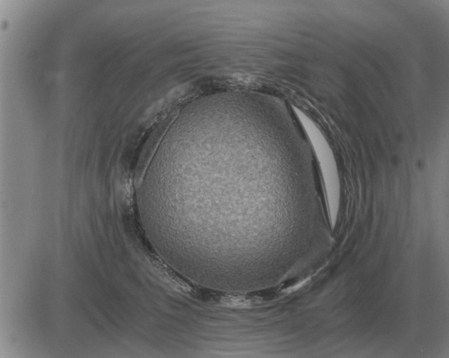 X0000084030613200703022124