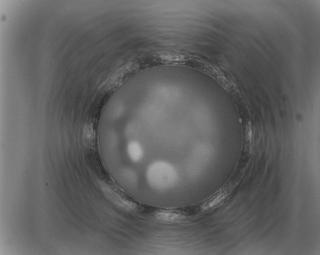 X0000084030614200703022124