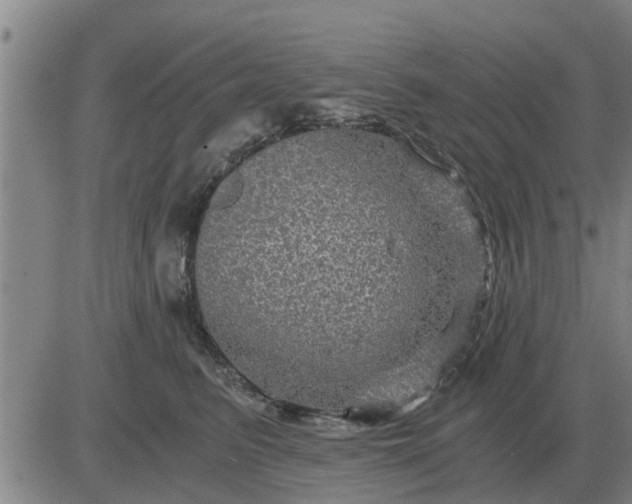 X0000084030615200703022124