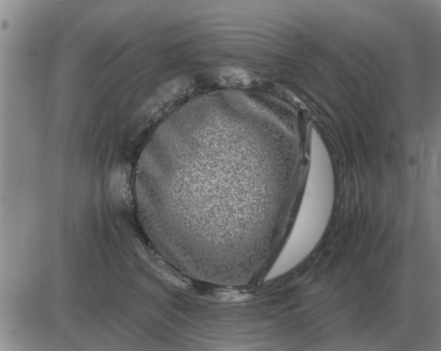 X0000084030616200703022124