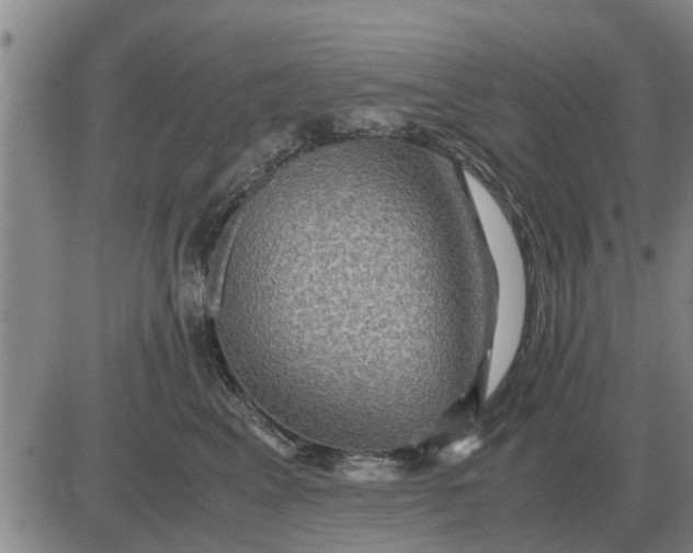 X0000084030617200703022124